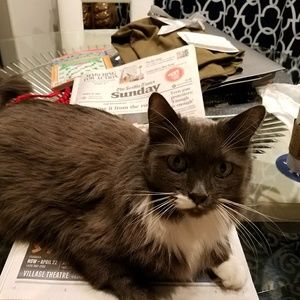 Meet your Posher, Debbie